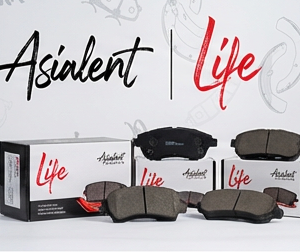 لنت ترمز عقب دیسکی جک اس 3 (S3) (Type b) (Life) لایف