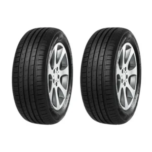 لاستیک خودرو مینروا 205/60R15 گل F209 دو حلقه